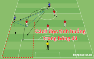 Cách đọc tình huống trong bóng đá